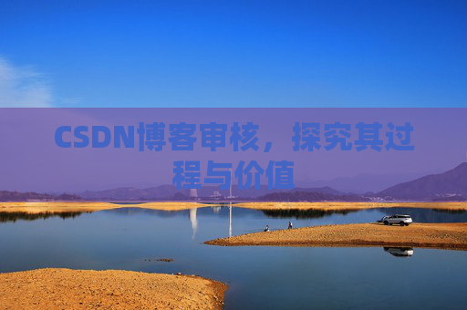 CSDN博客审核,探究其过程与价值