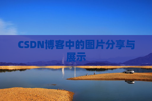 CSDN博客中的图片分享与展示